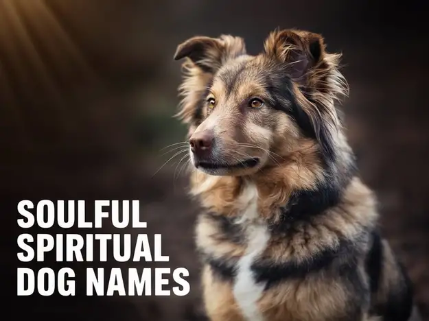 77+ Soulful Spiritual Dog Names to Light Your Path What’s up, dog lovers and soul seekers! I’ve got something special brewing today—a list of spiritual dog names that’ll vibe with your pup’s inner light. Dogs are like little gurus, aren’t they? Sage, my mutt, always seems to know when I need a nudge toward peace. Did you know dogs can sense your mood shifts—like built-in empaths? Pretty cosmic! Whether you’re searching for spiritual dog names for your furry sage, brainstorming a character, or just soaking up some mystic mojo, I’ve rounded up a bunch of names that feel like a warm hug from the universe. I’ve broken it into headings—each with 8 to 14 names I thought up—to spark your spirit. Let’s wander into the ether together! Spiritual Dog Names Inspired by Peace Dogs bring calm like nobody’s business—Sage flops down beside me and instantly I’m zen. These names are all about that chill vibe. Shanti - Sanskrit for “peace,” pure calm pup. Pax - Latin “peace,” quiet soul soother. Serenity - Serene spirit snuggler. Dove - Peaceful bird buddy. Harmony - Balanced bark bringer. Calm - Steady vibe vaulter. Truce - Conflict-free cuddle king. Zen - Meditative mutt master. Bliss - Joyful peace pooch. Male Spiritual Dog Names For the wise boy dog channeling old-soul energy—Sage gives me those knowing looks! These names fit their mystic masculinity. Bodhi - Enlightenment seeker soul. Jasper - Healing stone hound. Koa - Hawaiian “warrior,” spirit strong. Rumi - Poet pup visionary. Elias - “God is my strength,” faithful friend. Tao - Path-walking wise one. Gideon - Biblical “mighty warrior,” gentle guide. Zephyr - Free spirit breeze boy. Om - Sacred sound strider. Rune - Mystic symbol scamperer. Spiritual Dog Names Inspired by Light Dogs glow with love—Sage lights up my mornings like a sunrise. These names shine with their radiant energy. Aura - Glowing spirit glider. Lumen - Light beam barker. Sol - Sun-soaked soul pup. Ray - Radiant ray romper. Glimmer - Subtle shine snuggler. Beacon - Guiding light hound. Spark - Tiny spark sprinter. Nova - Starburst spirit star. Dawn - New day dawdler. Flare - Bright flare fetcher. Spiritual Dog Names That Mean “Spirit” Dogs feel like little spirits—Sage’s got a vibe that’s pure magic! These names mean “spirit” or nod to their essence. Anima (Latin) - “Soul,” lively pup. Ruh (Arabic) - “Spirit,” mystic mate. Pneuma (Greek) - “Breath,” airy amigo. Mana (Polynesian) - “Spiritual power,” energy hound. Esprit (French) - “Spirit,” spunky soul. Kami (Japanese) - “Divine being,” sacred scamperer. Atma (Sanskrit) - “Self,” inner light pup. Ghost - Ethereal tail wagger. Vayu - Wind spirit whisker. Female Spiritual Dog Names Girl dogs carry a gentle wisdom—Sage’s mom, Luna, was a total goddess! These names suit their soulful grace. Selene - Moon goddess glow queen. Nyx - Nighttime mystic maiden. Safia - “Pure,” serene spirit lady. Tara - Starlight trail treader. Kali - Fierce goddess fur friend. Mina - “Love,” soulful sweetie. Eira - “Mercy,” healing hound lass. Ziva - “Radiance,” shining spirit. Soma - Lunar nectar napper. Gaia - Earth mother muse. Spiritual Dog Names Inspired by Elements Dogs connect us to nature—Sage loves digging in the dirt like it’s his calling! These names draw from the elements. Terra - Earth-grounded growler. Aqua - Water-wading wonder pup. Ignis - Fire-sparked fetcher. Zephyr - Airy breeze bolter. Ember - Smoldering ember explorer. River - Flowing spirit rover. Flint - Sparking stone strider. Breeze - Gentle wind whisker. Clay - Earth-molded cuddler. Ash - Fire-ash adventurer. Powerful Spiritual Dog Names For a dog with a big, bold soul—Sage stares down storms like a warrior! These names pack a cosmic punch. Apollo - Sun-god spirit king. Athena - Wisdom warrior queen. Odin - Norse sage soul hound. Isis - Magic-wielding mutt muse. Horus - Sky-eyed scamper star. Veda - Sacred knowledge keeper. Titan - Giant spirit juggernaut. Aura - Powerful glow guardian. Khan - Fierce soul sovereign. Sage - Wise wanderer (like mine!). Spiritual Dog Names Inspired by Stars Dogs light up our lives like stars—Sage’s eyes sparkle when we stargaze! These names shine celestial. Stella - Starry sky snuggler. Orion - Hunter constellation hound. Sirius - Brightest star barker. Lyra - Harp-star harmony pup. Polaris - North star navigator. Vega - Lyran light leaper. Astro - Cosmic trail trotter. Comet - Speedy star streaker. Celeste - Heavenly glow gal. Nebula - Cloudy star cuddler. Spiritual Dog Names Based on Famous Spiritual Figures Dogs feel like guides—Sage’s got a Buddha-like calm sometimes! These names honor wise souls. Buddha - Zen master mutt. Rumi - Mystic poet pup. Lao (Lao Tzu) - Taoist tail wagger. Yogi - Yoga sage scamperer. Gandhi - Peaceful path prancer. Dalai (Dalai Lama) - Compassionate cuddler. Krishna - Divine play pal. Myst - Mystic vibe muse (short for Mystic). Sufi - Sufi soul spinner. Spiritual Dog Names Inspired by Healing Dogs mend our hearts—Sage’s snuggles fix any bad day! These names reflect their soothing power. Heal - Heart-healing hound hero. Balm - Soothing spirit balm. Echo - Resounding peace pup. Solace - Comfort-giving cuddler. Mend - Mend-making mutt mate. Grace - Graceful glow giver. Haven - Safe haven hound. Hope - Hopeful howl healer. Chakra - Energy-aligning amigo. Lotus - Blooming peace pooch. Spiritual Dog Names Inspired by Meditation Dogs are meditation masters—Sage sits still with me like he gets it! These names vibe with that calm focus. Om - Meditative chant chaser. Zenith - Peak calm pup. Nirvana - Blissed-out burrow buddy. Karma - Cosmic balance barker. Mantra - Chanting spirit scamperer. Satori - Sudden zen zinger. Dharma - Path-following pal. Namaste - Soul-greeting napper. Trance - Trance-like tail wagger. Here’s a little gift from the universe—a soulful stash of spiritual dog names for your enlightened pup or a mystic tale! From peaceful pathfinders to starry-eyed sages, there’s a vibe here for every dog’s spirit. Which one’s resonating with your soul? Whisper it my way—I’m dying to know what lights you up! Keep shining, spiritual dog squad!