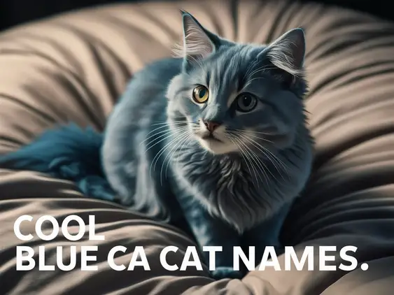 80+ Cool Blue Cat Names to Purr Up a Storm Hey there, cat lovers and blue-hued dreamers! I’ve got something special for you today—a purr-fectly cool collection of blue cat names that’ll suit your feline friend to a T. Blue cats—like Russian Blues or those smoky gray tabbies—have this chill, mysterious vibe I totally adore. My neighbor’s blue kitty, Smokey, always looks like he’s plotting something genius! Did you know their blue coats can shimmer in the light like a stormy sky? Whether you’re picking blue cat names for your new pal, brainstorming a story, or just soaking up some kitty vibes, I’ve rounded up a bunch of names that feel fresh and fun. I’ve mixed them into headings to keep it lively—let’s leap into the blue! Blue Cat Names Inspired by Color That blue fur is pure magic—I love how it shifts from slate to silver! These names play off their stunning shades. Slate - Cool gray-blue prowler. Cobalt - Bold blue brawler. Sapphire - Rich blue gem purrer. Azure - Sky-blue scamper star. Indigo - Deep blue dreamer. Navy - Dark navy nuzzler. Cerulean - Bright blue bouncer. Steel - Steely blue stroller. Sky - Light blue sky kitty. Bluebell - Soft blue bloom cat. Female Blue Cat Names Girl blue cats have this elegant glow—Smokey’s sister, Luna, owns the room! These names fit their graceful charm. Luna - “Moon,” blue night queen. Nia - “Purpose,” purring guide. Zara - “Princess,” blue royalty. Tessa - “Harvester,” treat chaser. Suki - “Beloved,” blue sweetie. Mira - “Wonder,” fur beauty. Lila - “Night,” dusk napper. Cora - “Maiden,” gentle meower. Veda - “Knowledge,” wise whisker. Iris - Blue flower feline. Blue Cat Names Inspired by Water Blue cats move like liquid—I’ve seen them glide like waves on the couch! These names splash with their aquatic vibe. Wave - Rolling blue waver. Ripple - Gentle ripple rover. Tide - Tidal tail teaser. Brook - Babbling blue buddy. River - Flowing fur friend. Mist - Misty blue meanderer. Dew - Dewdrop blue dewler. Foam - Frothy fur frolicker. Splash - Splashy blue sprinter. Puddle - Puddly paw pouncer. Blue Cat Names That Mean “Blue” Blue cats shimmer through languages—these names mean “blue” or nod to their hue. I dug into some fun words for these! Azul (Spanish) - “Blue,” sleek slider. Bleu (French) - “Blue,” chic purr. Blau (German) - “Blue,” sturdy strut. Aoi (Japanese) - “Blue,” swift twist. Sininen (Finnish) - “Blue,” cool echo. Cyan - Cyan-shade scamperer. Turq - Turquoise tail twirler. Lapis - Lapis blue leap star. Beryl - Blue gem barker. Male Blue Cat Names Boy blue cats strut with swagger—Smokey’s got that cool-cat stare! These names match their bold blue spirit. Finn - Fin-blue fur fella. Jett - Jet-dark jet-setter. Rex - “King,” cage boss. Zane - “Gift,” blue gem. Milo - “Soldier,” lap guard. Tito - “Giant,” tiny titan. Gus - Gruff growl gent. Rafe - “Counsel,” wise napper. Dash - Swift blue dasher. Soot - Sooty blue strutter. Blue Cat Names Inspired by Sky Blue cats look like they fell from the clouds—I swear Smokey’s got sky in his eyes! These names soar with airy vibes. Cloud - Fluffy blue floater. Stormy - Stormy sky scamperer. Dusk - Dusky blue dreamer. Breeze - Breezy blue bouncer. Horizon - Horizon-hued hopper. Twilight - Twilight tail twirler. Strato - Stratosphere strut star. Nimbus - Cloudy nimbus napper. Zephyr - Zephyr wind whisker. Dawn - Dawn-blue dawdler. Powerful Blue Cat Names For a blue cat with a mighty purr—these names pack a punch! Smokey’s tiny roar shakes the couch sometimes! Titan - Giant blue juggernaut. Zeus - Sky-god meow king. Juno - Blue queen supreme. Thor - Thunderous paw hero. Atlas - Earth-bearing brawler. Vortex - Swirling fur cyclone. Hercules - Mythic muscle meower. Storm - Blue tempest trekker. Ares - War-ready whisker warrior. Blaze - Fiery blue flash. Ranger - Lap patrol pro. Blue Cat Names Inspired by Gems That blue coat sparkles like jewels—I’d love a cat with sapphire eyes! These names shine with gemstone glow. Sapphire - Sapphire sparkle slider. Topaz - Blue topaz trotter. Lazuli - Lapis lazuli leaper. Aqua - Aquamarine aqua kitty. Opal - Opal-blue opal napper. Beryl - Beryl-blue beauty bouncer. Turquoise - Turquoise twirl tabby. Gem - Gemstone gleam glider. Jade - Jade-blue jaunt junkie. Crystal - Crystal-clear cuddler. Blue Cat Names Based on Famous Blue Cats Blue cats have purred into fame—my childhood cartoon fave was always a blue kitty! These names honor the legends. Smokey - Smokey gray star (like my neighbor’s!). Blue (Blue’s Clues) - Clue-hunting cutie nod. Tom (Tom & Jerry) - Blue-gray troublemaker. Bagheera (Jungle Book) - Panther-like pal ref. Felix - Felix the Cat cartoon flash. Grumpy - Grumpy Cat grump twist. Azrael (Smurfs) - Gargamel’s blue buddy. Puss - Puss in Boots blue vibe. Shadow - Shadowy fame shadow cat. Blue Cat Names Inspired by Whiskers Those whiskers catch every breeze—I love watching them twitch! These names whisk with their charm. Whisk - Whisker-waving wonder. Twitch - Twitchy tail teaser. Bristle - Bristly blue bouncer. Fuzz - Fuzzy whisker friend. Sniff - Sniffing stash sniffer. Tickler - Whisker-tickle tabby. Wig - Whisker-wiggling waver. Brush - Brushing blue buddy. Fringe - Whisker-fringe fetcher. Spike - Spiky whisker sprinter. Blue Cat Names Inspired by Purring That purr is blue cat bliss—Smokey’s hum is my daily soundtrack! These names rumble with their soothing sound. Purr - Purring blue prince. Rumble - Rumbling lap rumbler. Hum - Humming harmony hound. Buzz - Buzzing blue buzzard. Murmur - Murmuring meow muse. Drone - Droning dust droner. Vibe - Vibing purr vaulter. Echo - Echoing purr prowler. Chime - Chiming blue chime cat. Growl - Growly purr growler. Here’s a little blue-hued treasure for you—a cool collection of blue cat names to match your feline’s vibe or spark a story! From sky-soaring stars to purring gemstones, there’s something here for every blue kitty’s soul. Which one’s purring your tune? Meow it my way—I’m all ears for your pick! Keep purring, blue cat crew!