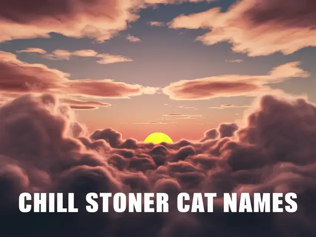 Chill Stoner Cat Names