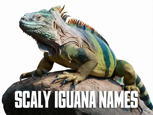 Scaly Iguana Names