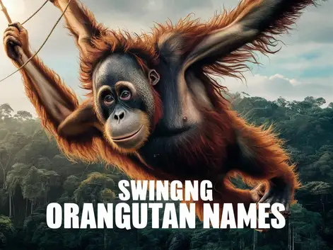 Swinging Orangutan Names